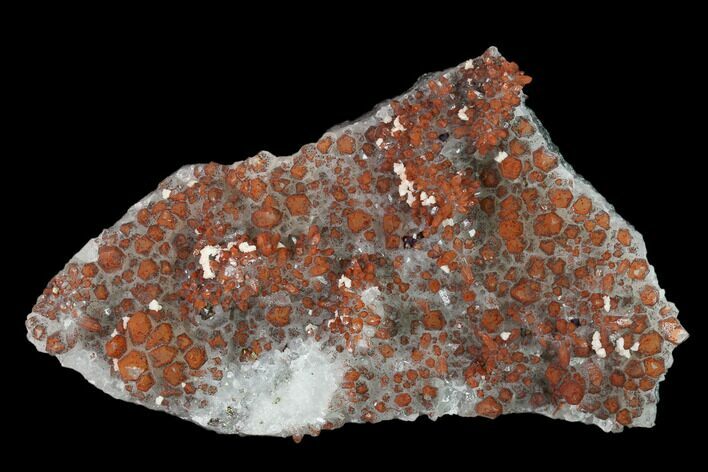 Quartz, Dolomite, Chalcopyrite and Pyrite Association - China #138684